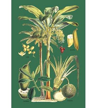 Buyenlarge Plants Used as Food Painting Print