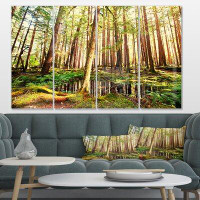 Design Art 'Dense Trees in Green Rain Forest' 4 Piece Photographic Print on Metal Set