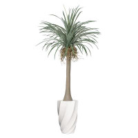 Vintage Home 92"H Vintage Real Touch Dragon Tree, Indoor/ Outdoor, In Rounded Planter With Rope Basket ( 42X42x78"H )