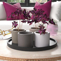 Etta Avenue™ 64-Piece Polly Ceramic Pot Planter Set