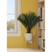 Primrue Primrue Artificial Sago Palm Tree In Plastic Black Pot, Lifelike Tropical Potted Plant For Balcony, Living Room,