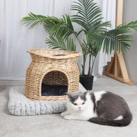 Tucker Murphy Pet™ Dayanaira Designer Specialty Cat Bed