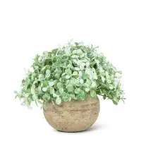 Primrue 3.5'' Artificial Foliage Plant in Pot