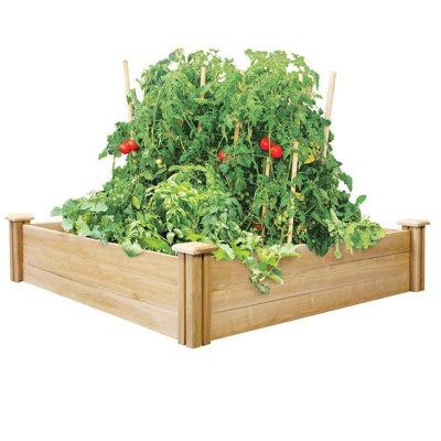 Arlmont & Co. Katlain Wood Planter Box in Plants, Fertilizer & Soil