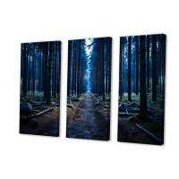 Millwood Pines Blue Path To The Forest - Landscapes Canvas Wall Art Set