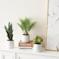 Ebern Designs Indoor Artificial Fuax Fake Greenery Plants Set