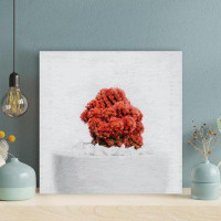 Foundry Select Red Cactus Plant On White Vase - 1 Piece Square Graphic Art Print On Wrapped Canvas