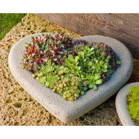 Campania International Heart Cast Stone Pot Planter