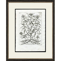 Wendover Art Group Rooted Plant II - Picture Frame Painting Set
