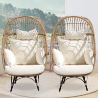 Dakota Fields Chivana 2 Person Outdoor Indoor Egg Chair with Cushions