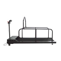 110V Pet Treadmill Dog Training Exercise Walk Run Equipment Fitness Kit 033002