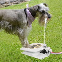 NEW DOG WATER FOUNTIAN DOGGIE ACTIVATED DRINKING FOUNTIAN P03F
