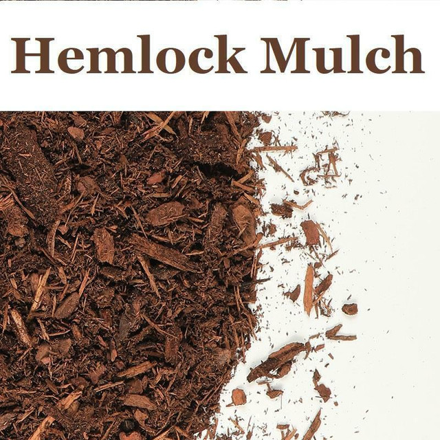 Mulch Delivery in Waterloo Region in Plants, Fertilizer & Soil in Kitchener / Waterloo - Image 4
