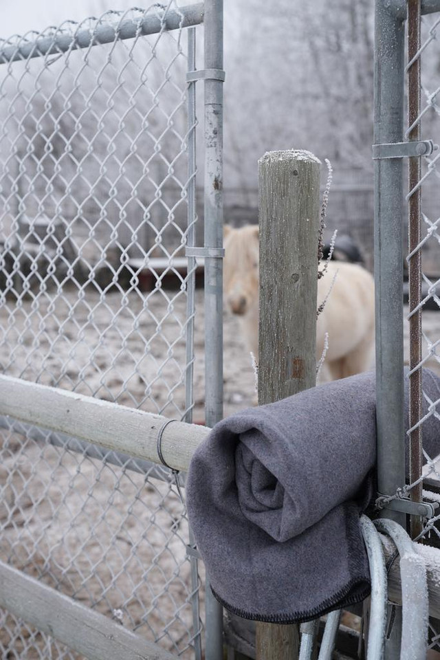 BRAND NEW Vintage Military Emergency 100% Wool Blankets in Bedding in Alberta - Image 2