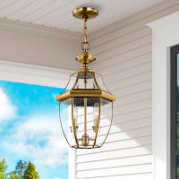 Lark Manor Alexavier 2 -Bulb 17" H Outdoor Hanging Lantern