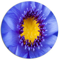 Made in Canada - Design Art 'Blue Lotus Close up Watercolor' Graphic Art Print on Metal