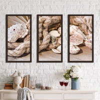 Made in Canada - Picture Perfect International Shells - 3 Piece Picture Frame Photograph Print Set on Acrylic