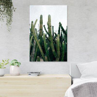 MentionedYou Green Cactus Plants Under White Sky During Daytime - 1 Piece Rectangle Graphic Art Print On Wrapped Canvas