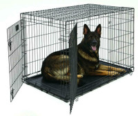 NEW 2 DOOR 48 IN XXL FOLDING DOG CAGE & TRAY DC48 DOG KENNEL PORTABLE CAGE