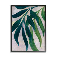 Stupell Industries Green Palm Plants Hanging Leaves Giclee Art By Blursbyai