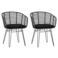 Corrigan Studio Carmeshia Indoor-Outdoor Black Synthetic Rattan and Iron Chair with Cushion, Set of 2