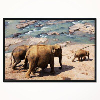 East Urban Home 'Parade of Elephants in Sri Lanka' Framed Photographic Print on Wrapped Canvas