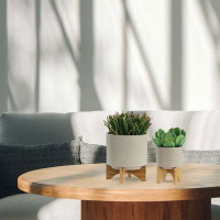 Ebern Designs Narcissus 2-Piece Ceramic Pot Planter Set