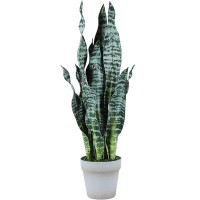 Primrue Feaux Plants In Pot For Home Office Decoration Perfect Housewarming Gift