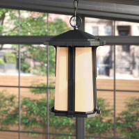 Steelside™ Jocelyn Black 1-Bulb Mains Only Outdoor Hanging Lantern