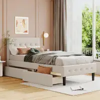 Winston Porter Twin Size Platform Bed With 2 Drawers