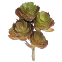 Ebern Designs 1.5" Artificial Succulent Plant