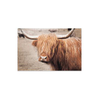 Union Rustic Scottish Highland Cattle I Neutral Print On Acrylic Glass