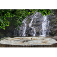 Millwood Pines Wooden Desk by Kenzaza - Wrapped Canvas Photograph