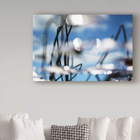 Trademark Fine Art 'Silhouette Of Plant' Photographic Print on Wrapped Canvas