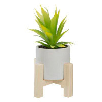 Northlight Seasonal 8.25" Potted Green Artificial Agave Plant With Wooden Stand