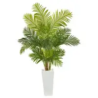 Primrue 68” Hawaii Palm Artificial Tree In Tall White Planter