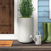 Sand & Stable™ Hollis Fiberstone Pot Planter