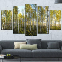 Made in Canada - Design Art 'Green Autumn Trees' 5 Piece Photographic Print on Wrapped Canvas Set