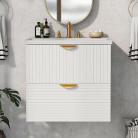 Hokku Designs Modern 24-Inch Wall-Mounted Bathroom Vanity With 2 Drawers