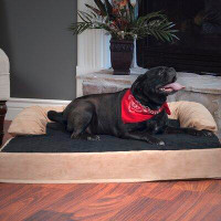 Tucker Murphy Pet™ Hults Pet Bed with Bolster