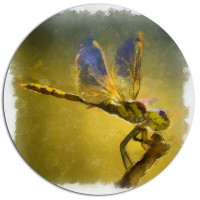 Design Art 'Dragon Fly Watercolor Illustration' Oil Painting Print on Metal