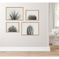 Foundry Select Desert Succulent Plant Framed Canvas Wall Art
