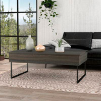 17 Stories Rectangle Lift Top Coffee Table