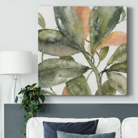 Winston Porter Plantlife II-Gallery Wrapped Canvas
