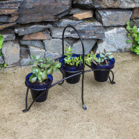 Ebern Designs Trishelle Glass Pot Planter