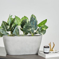 Ebern Designs Finny Resin Pot Planter