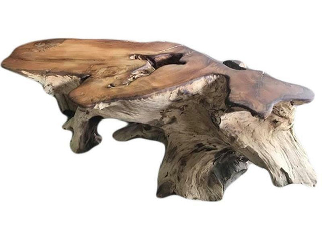 FREE FORM ROOT COFFEE TABLE - TEAK ( Appox 45x32, 58x46 & 72x12 in ) in Coffee Tables