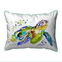 Bay Isle Home™ Baby Sea Turtle 16X20 Large Indoor/Outdoor Pillow
