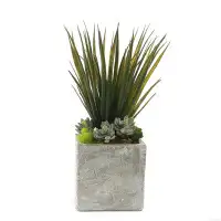 Primrue 15" Artificial Yucca Plant in Decorative Vase
