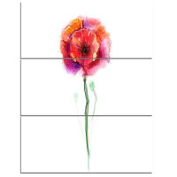 Made in Canada - Design Art Isolated Poppy Flower in Full Bloom - 3 Piece Graphic Art on Wrapped Canvas Set